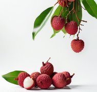 从岭南到长安，吃一口鲜味儿荔枝有多难？